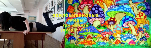 прущая мука Алексеевка